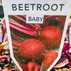 Beetroot - Baby