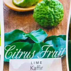 Lime - Kaffir