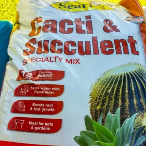 Searles Cacti & Succulent Specialty Mix